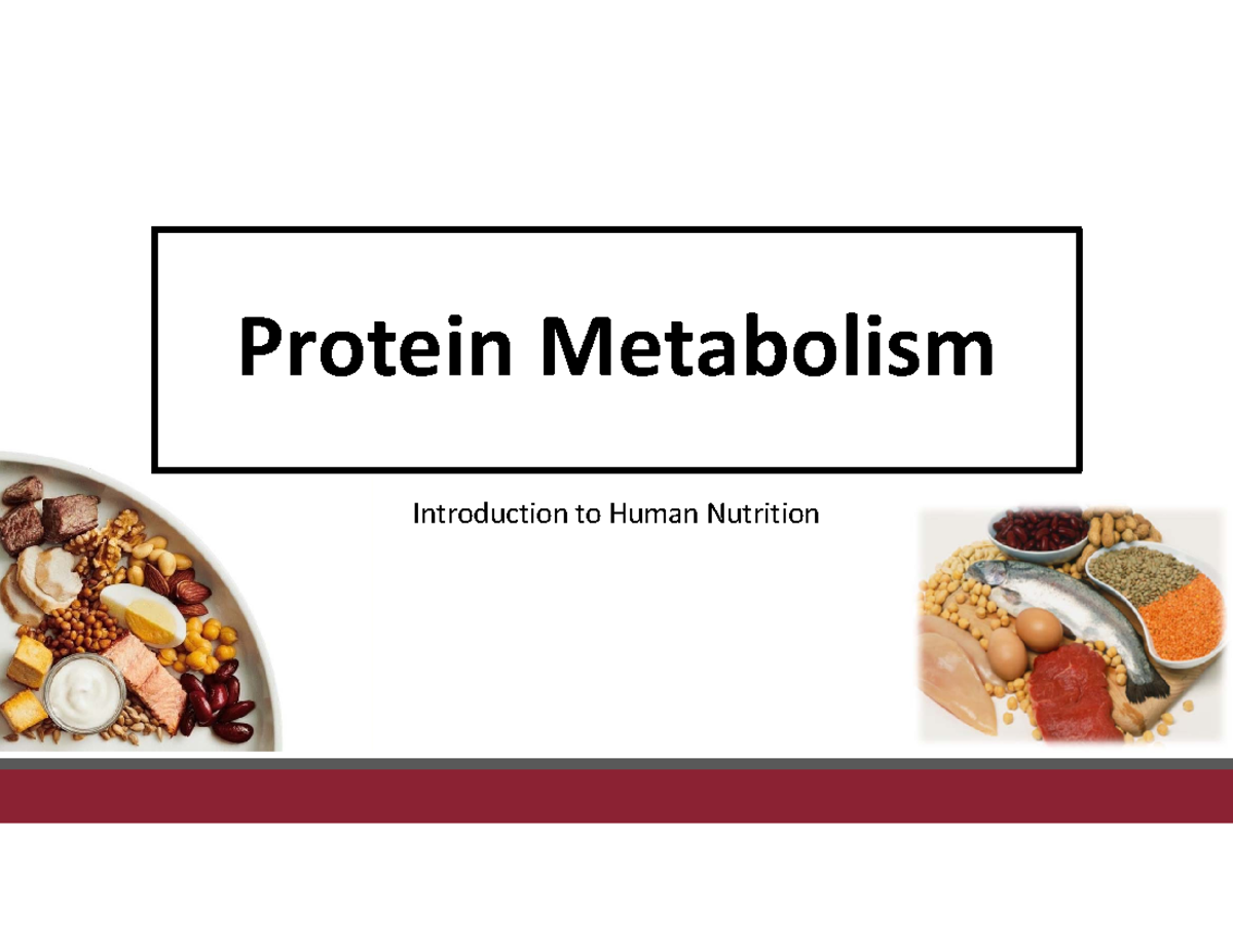 Section 7 Dietary Protein (Part 1 Metabolism) Protein Metabolism