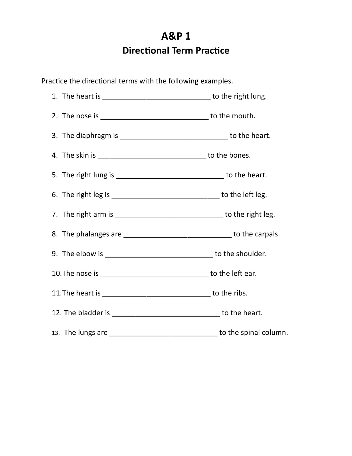 Directional Term Practice A P 1 Directional Term Practice Practice 