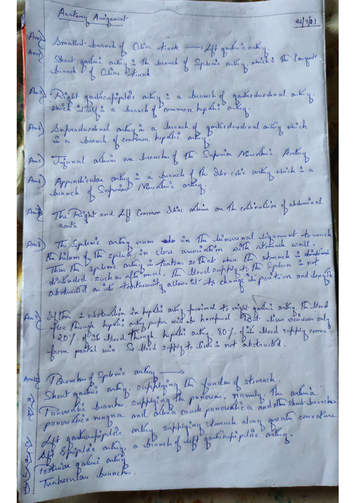 Anatomy assignment - Analomy Ansignment And Any) of Cilice thank Lift ...