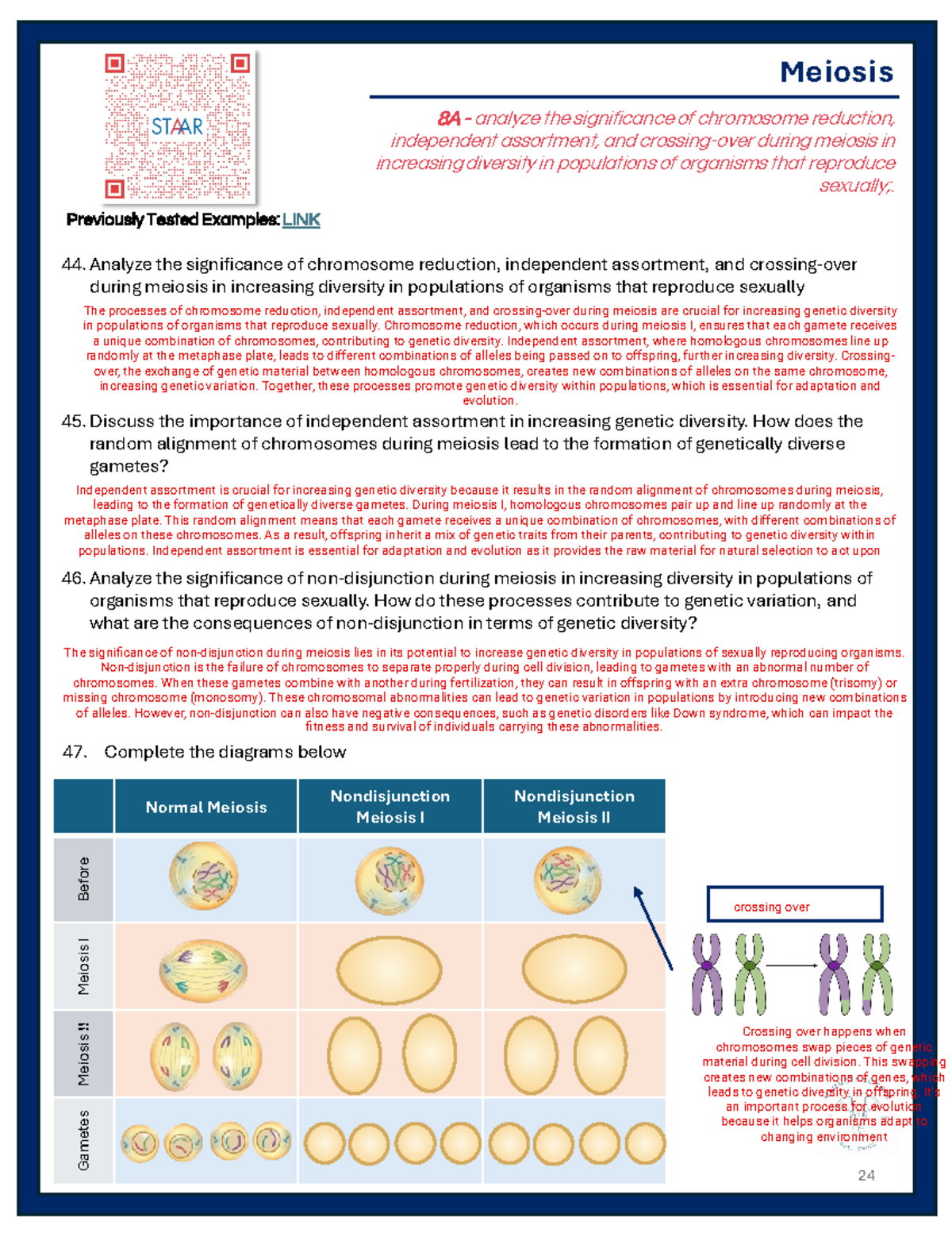 Kami Export Amya Johnson Meiosis Genetics Review 24 Rev Meiosis