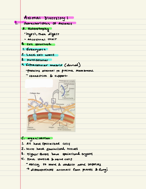 Phylogenetics Review And Virology Lecture Notes - 01:119:116 - Studocu