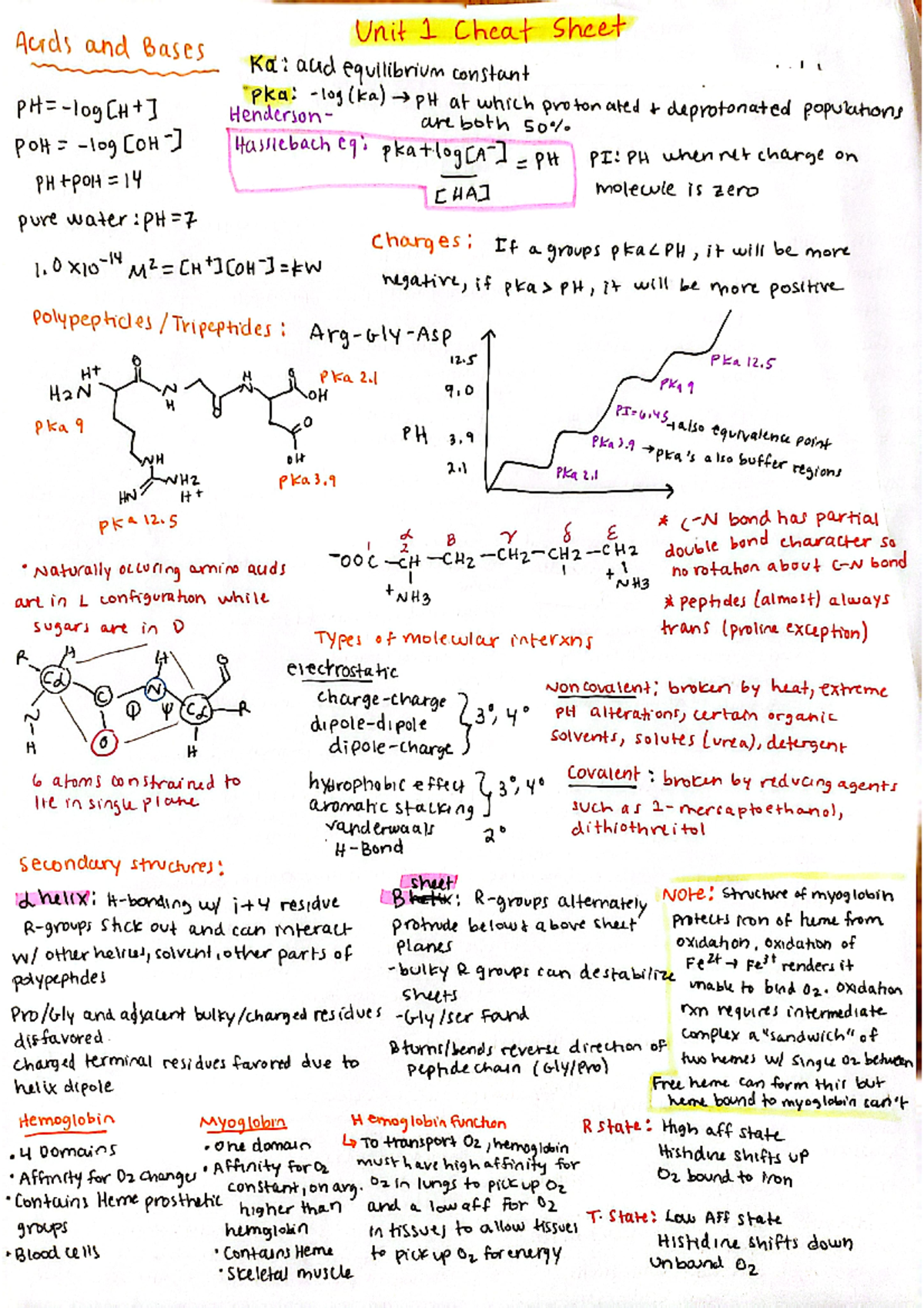 MCB 102 Unit 1 Exam Cheat Sheet MCB 102 Studocu