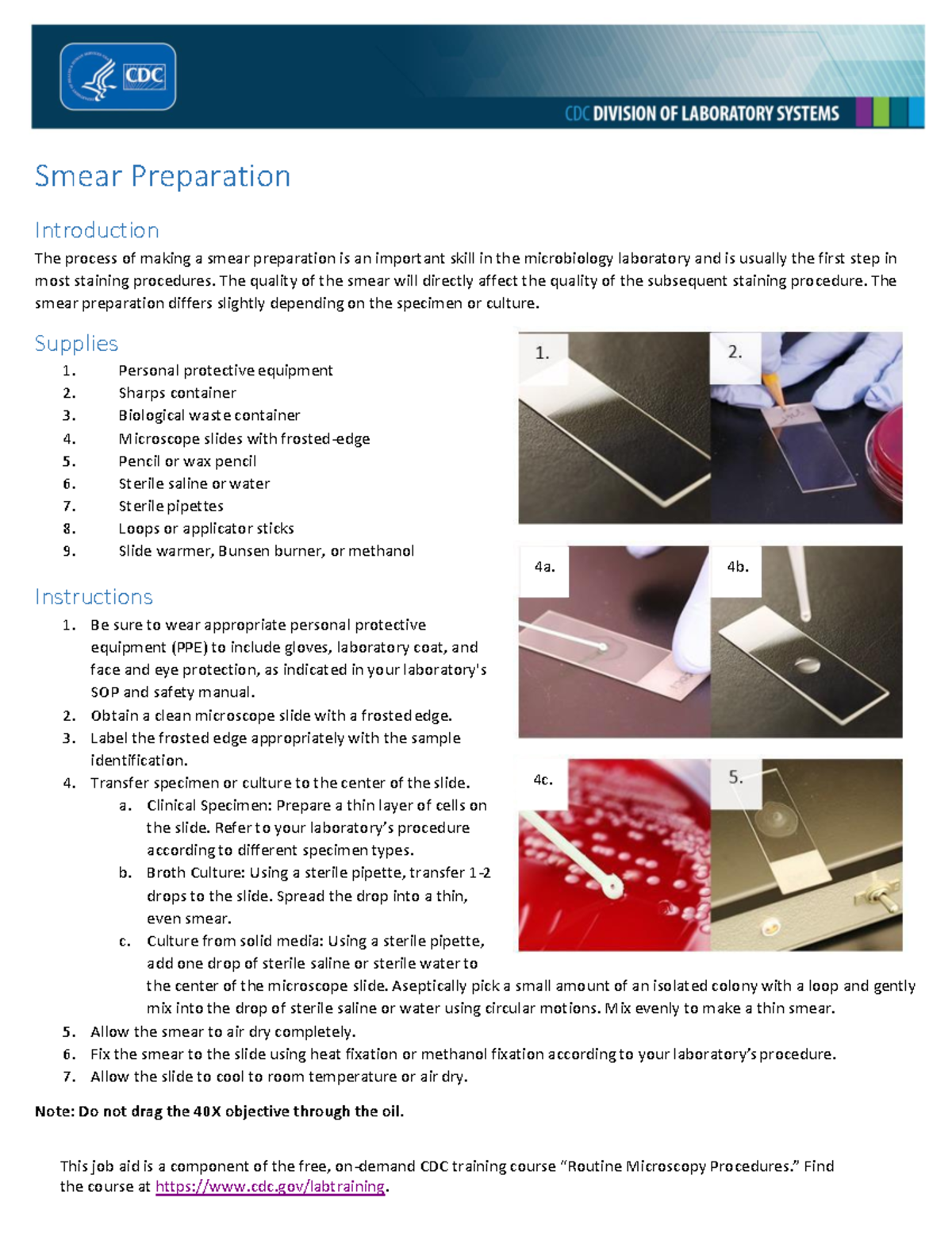 Smear-Preparation 508 - Smear Preparation Introduction The Process Of ...