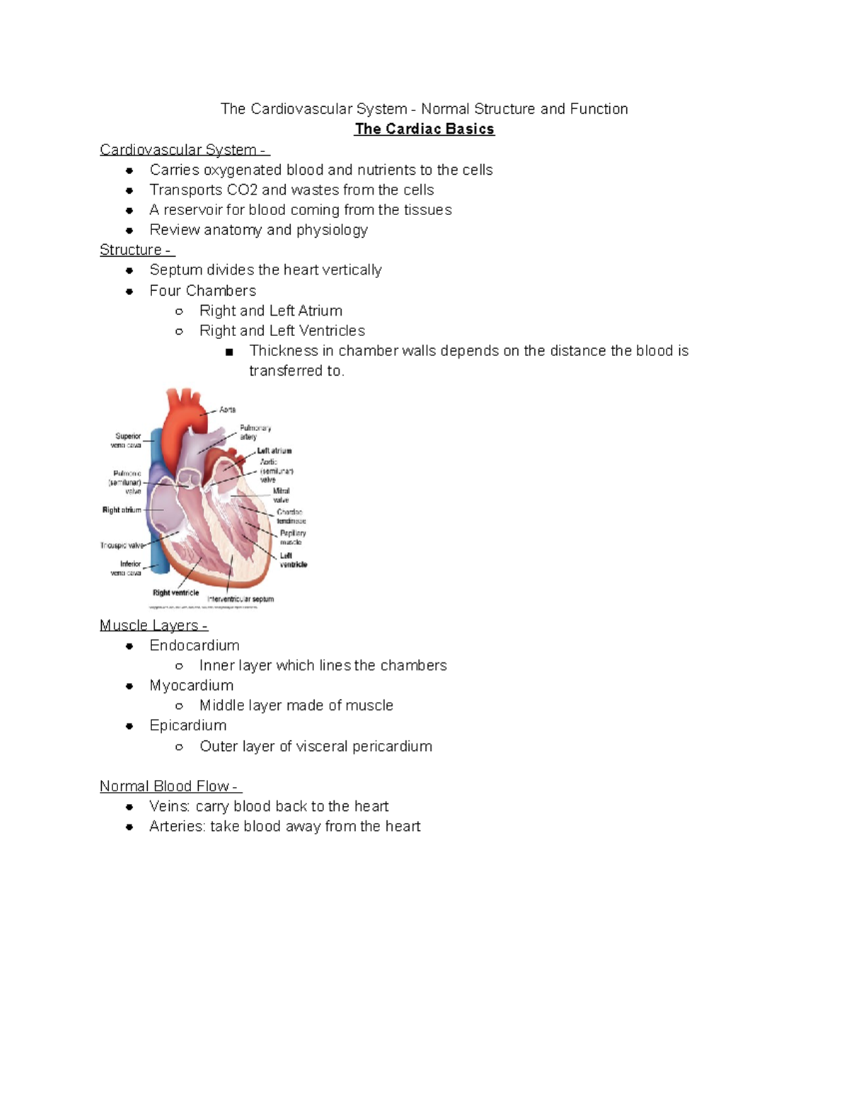 Cardiac Notes - The Cardiovascular System - Normal Structure and ...