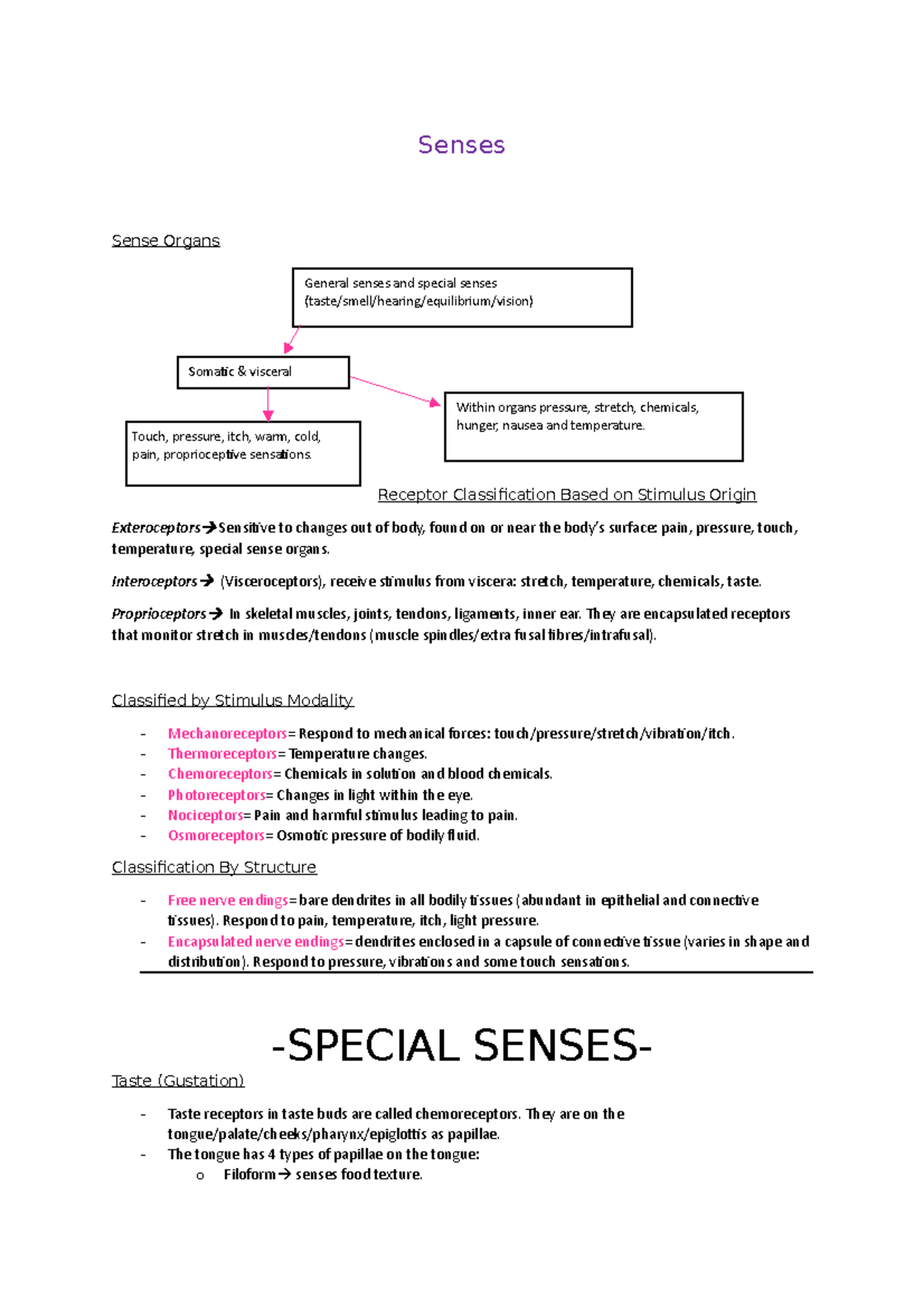 lecture-6-special-senses-senses-sense-organs-receptor