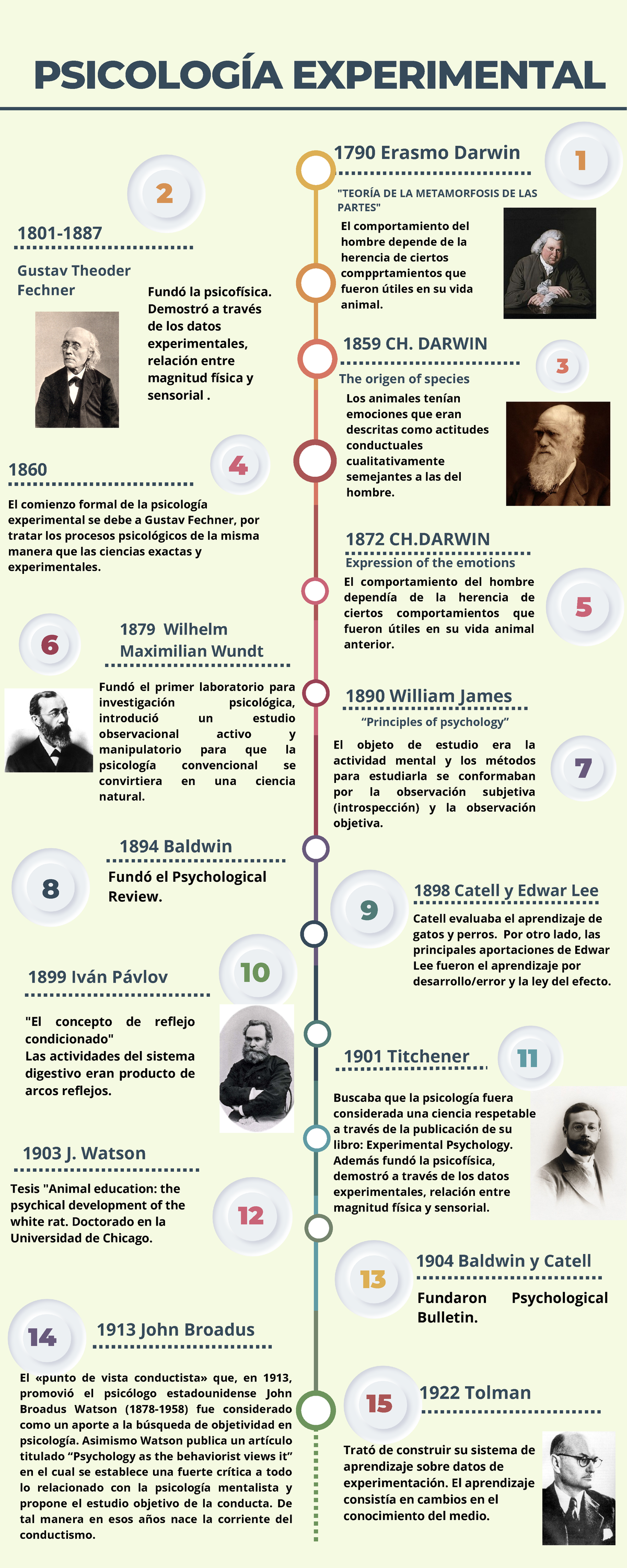 Linea DE Tiempo Psicologia 1860 El comienzo formal de la psicología experimental se debe a Linea DE Tiempo Psicologia 1860 El comienzo formal de la psicología experimental se debe a