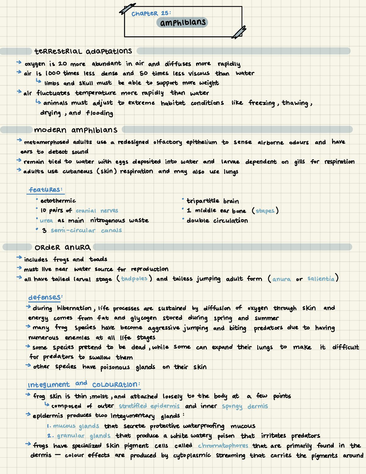 25- Amphibians - Lecture notes 25 - ÷teRampff TERRESTRIAL adaptations →