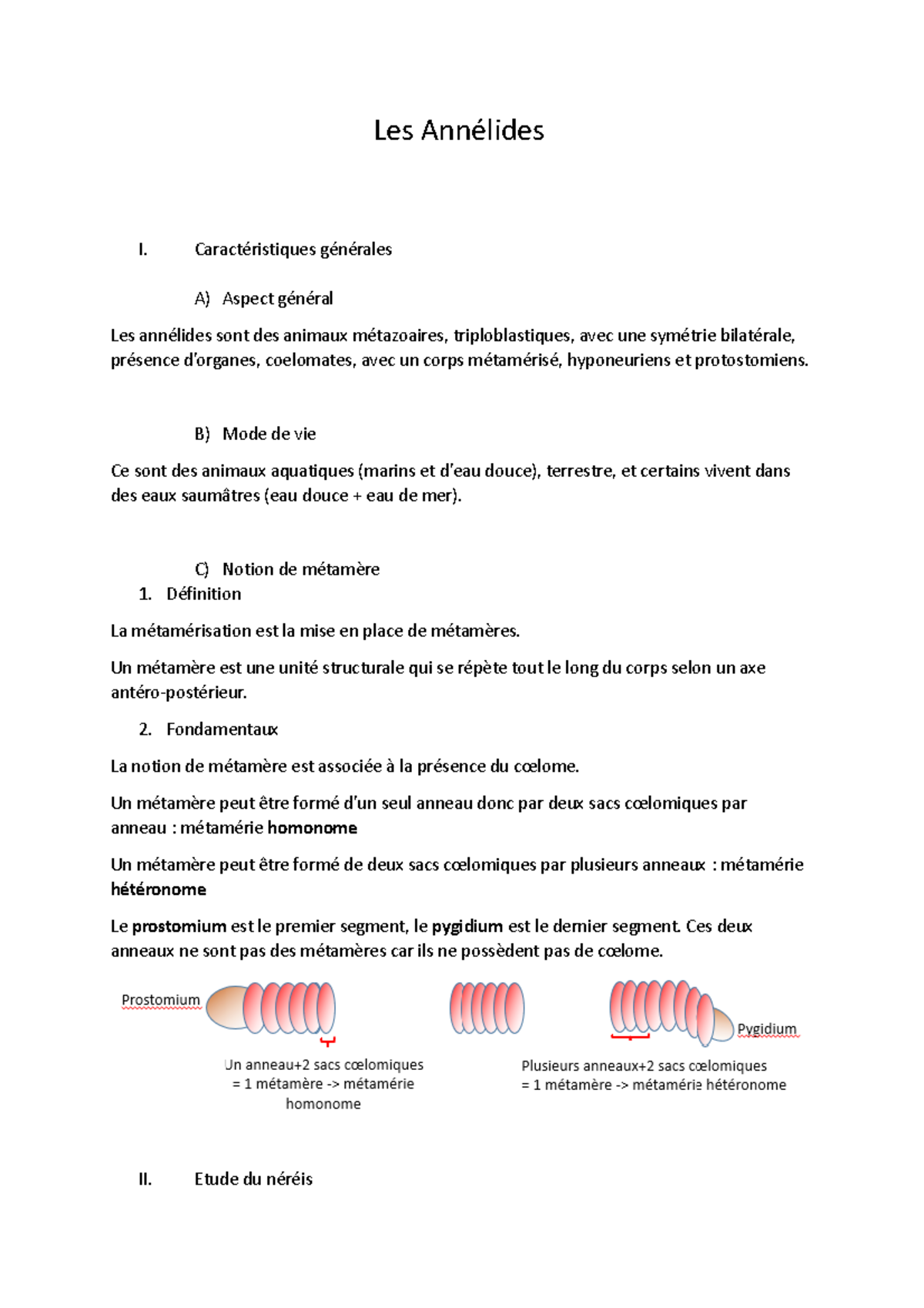 Biologie des Organismes Animaux Chap 6 - Les Annélides I ...