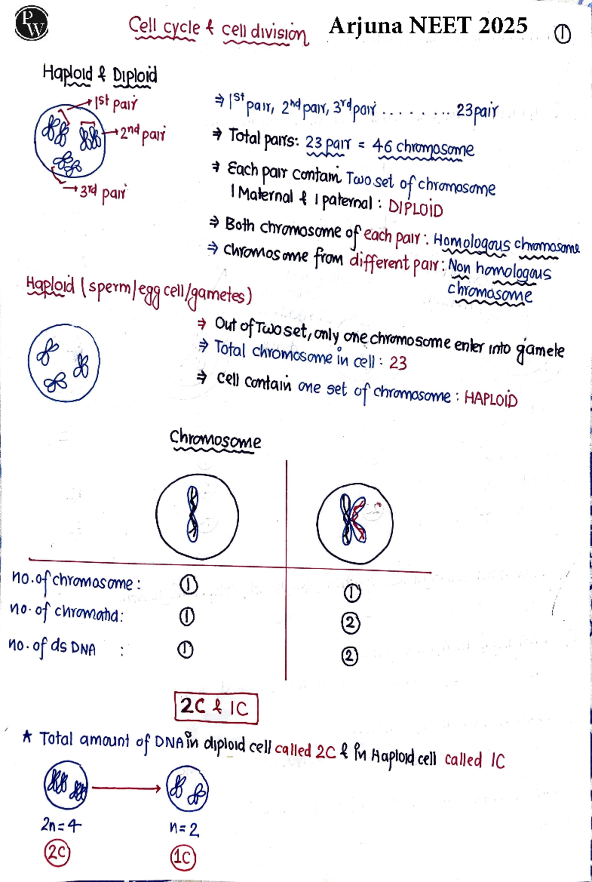 Cell Cycle and Cell Division 01 Handwritten Notes Arjuna NEET 2025 - RW ...