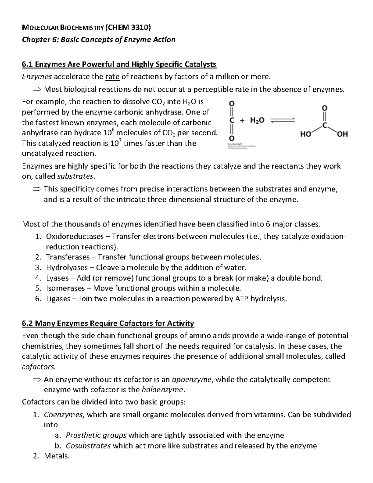 biochem-ch-6-chapter-6-notes-molecular-biochemistry-chem-3310