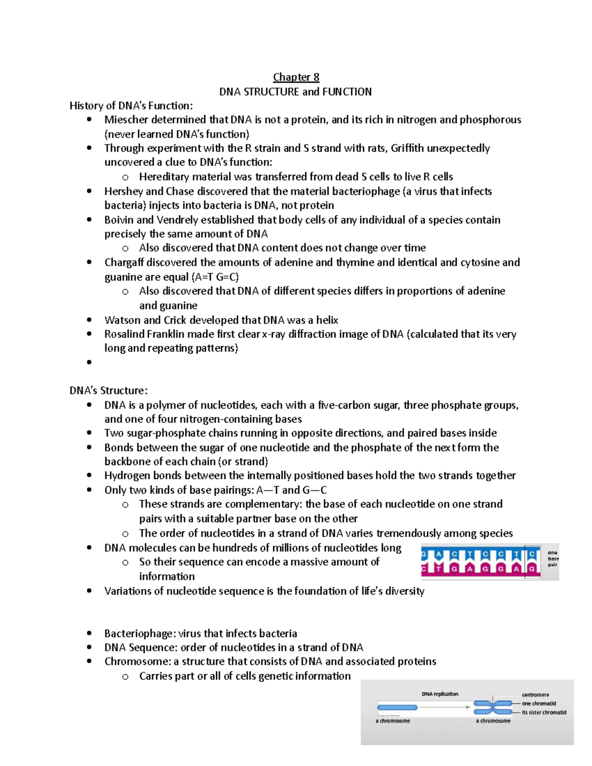 Chapter 8 - History, function, and structure of DNA with definitions ...