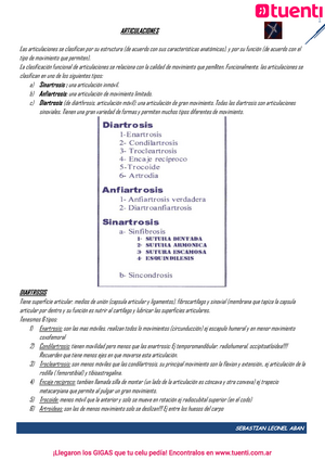 Anatomía UP Apuntes Planos PLANOS FRONTALES PLANOS SAGITALES MEDIO SAGITAL PLANOS