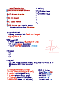 Epidural Anesthesia - ATI active learning template - ACTIVE LEARNING ...