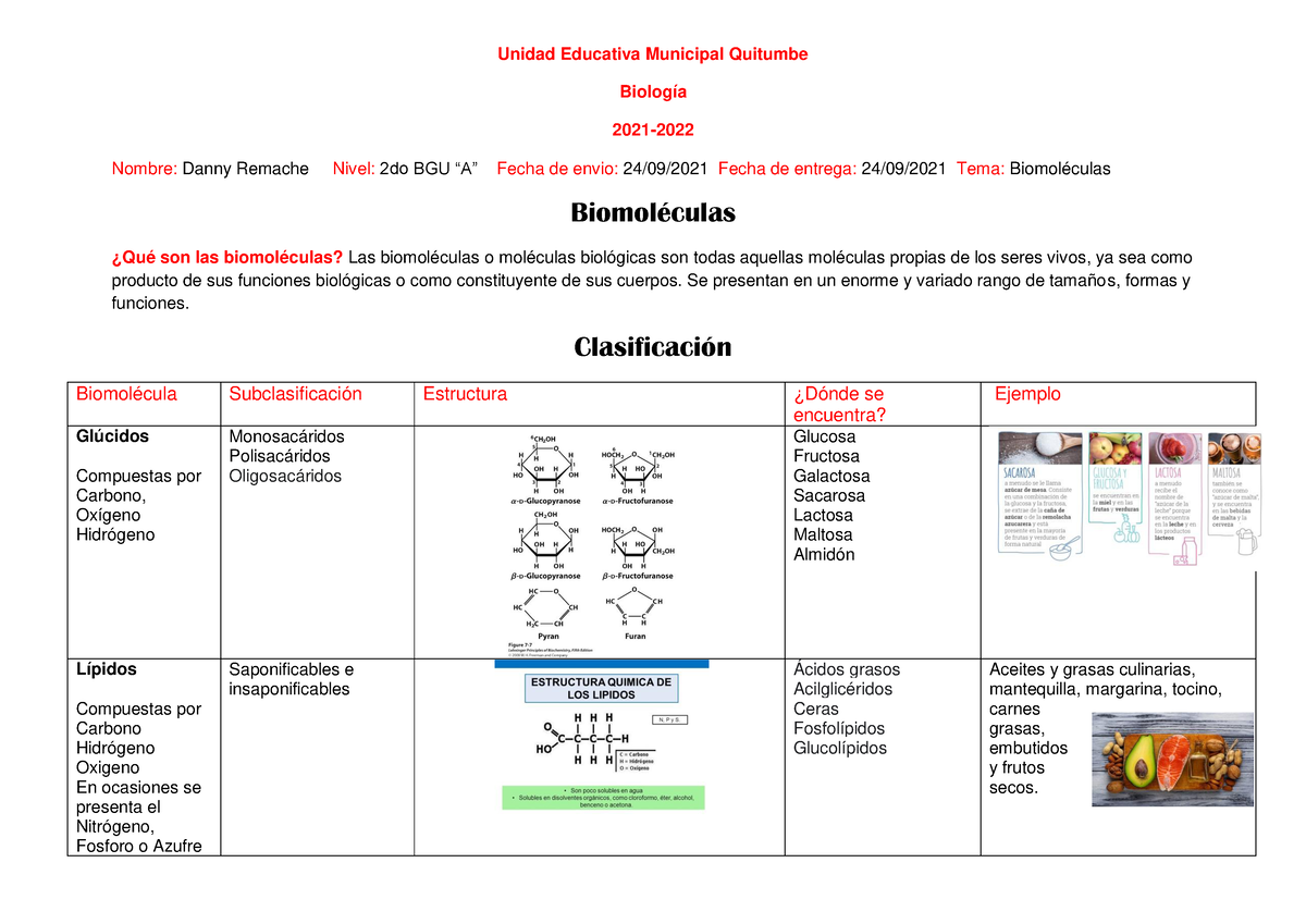 Cuadro de clasificacion de las biomoleculas Unidad Educativa Municipal Quitumbe Biología