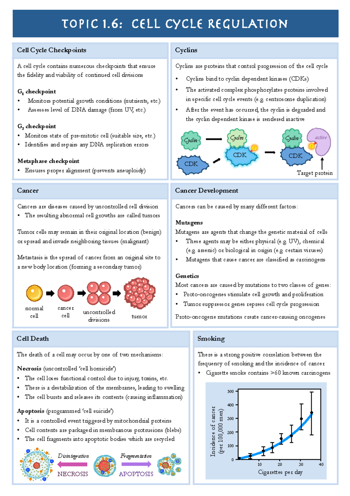 1.6 Cell Cycle Regulation Topic Summary - Topic 1: Cell Cycle ...