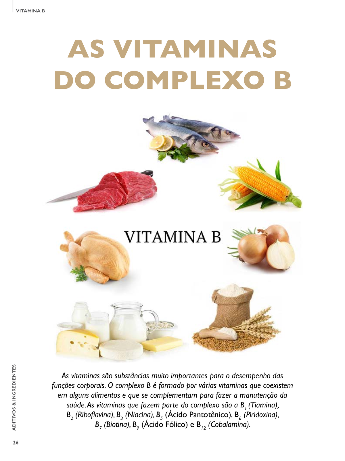 2016 120367203001481552689 - ADITIVOS & INGREDIENTES AS VITAMINAS DO ...