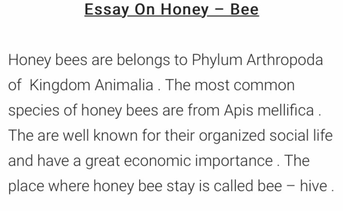 informative essay about bees