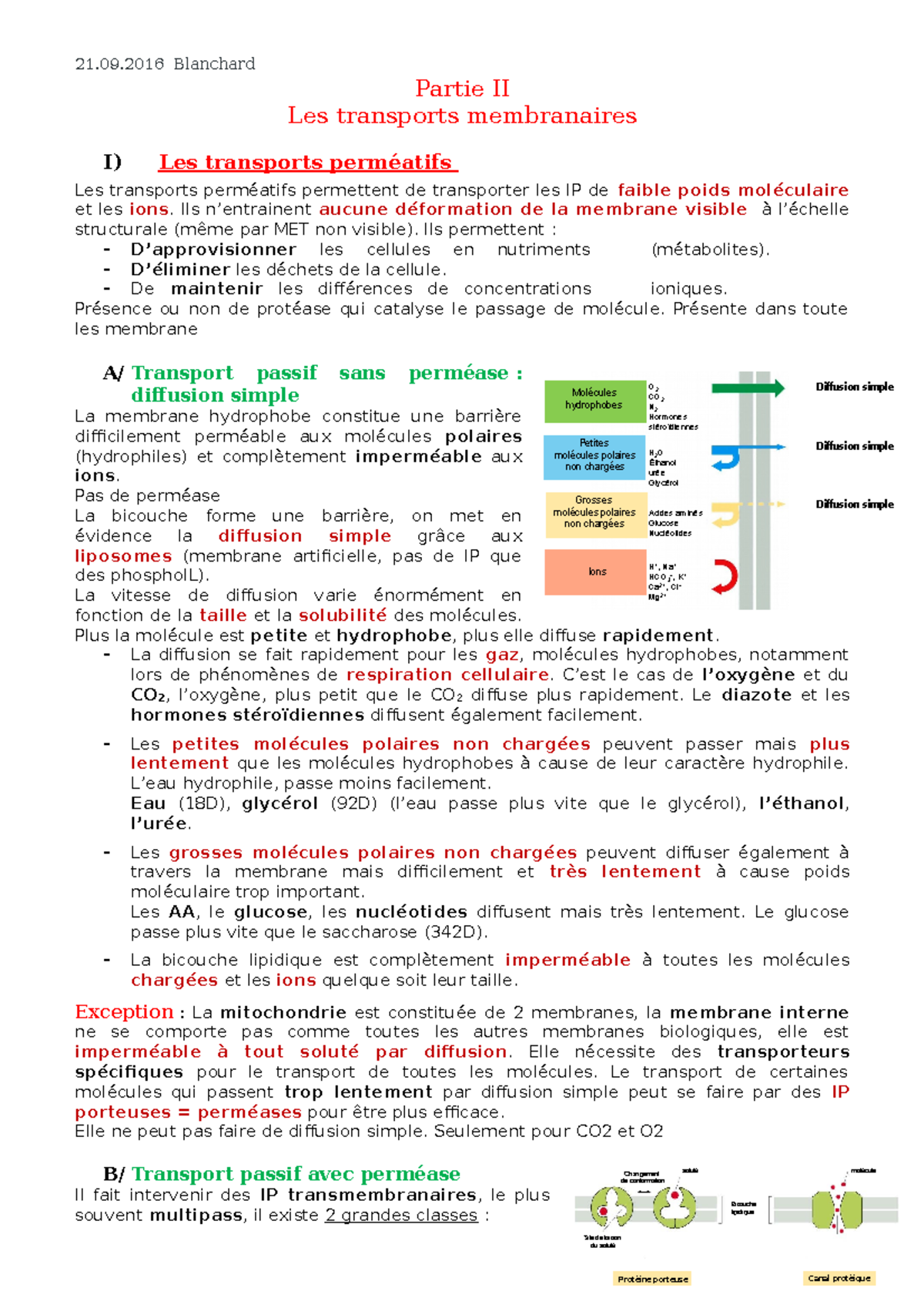 transports-cellulaire-partie-ii-les-transports-membranaires-i-les