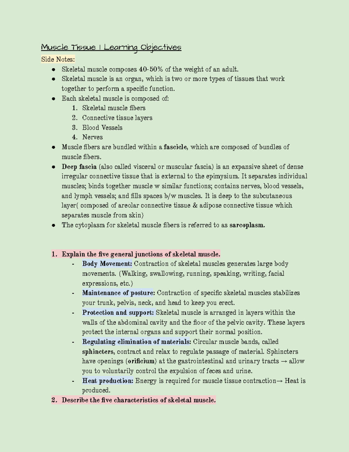 Anatomy Muscles 3 Learning Objectives - Muscle Tissue 1 Learning ...