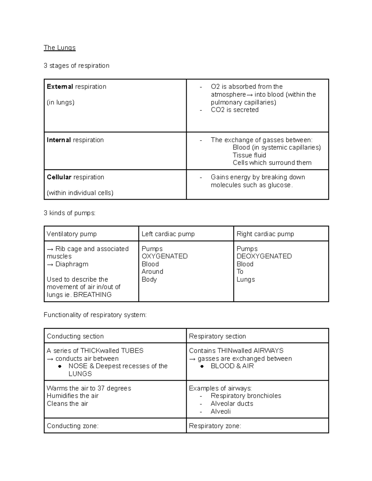 RESPIRATION notes - The Lungs 3 stages of respiration External ...