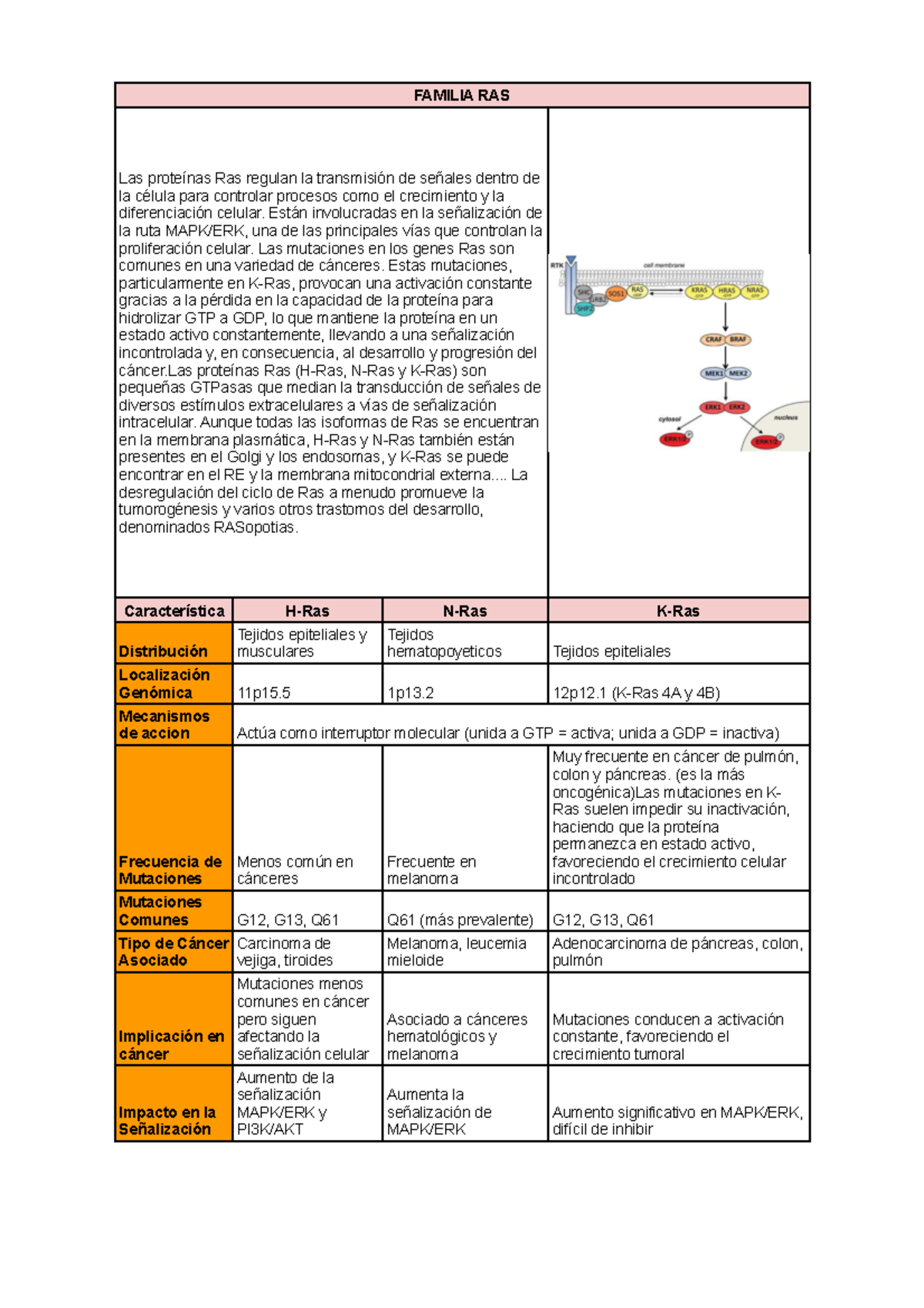 Patología - RAS - tareas - FAMILIA RAS Las proteínas Ras regulan la ...
