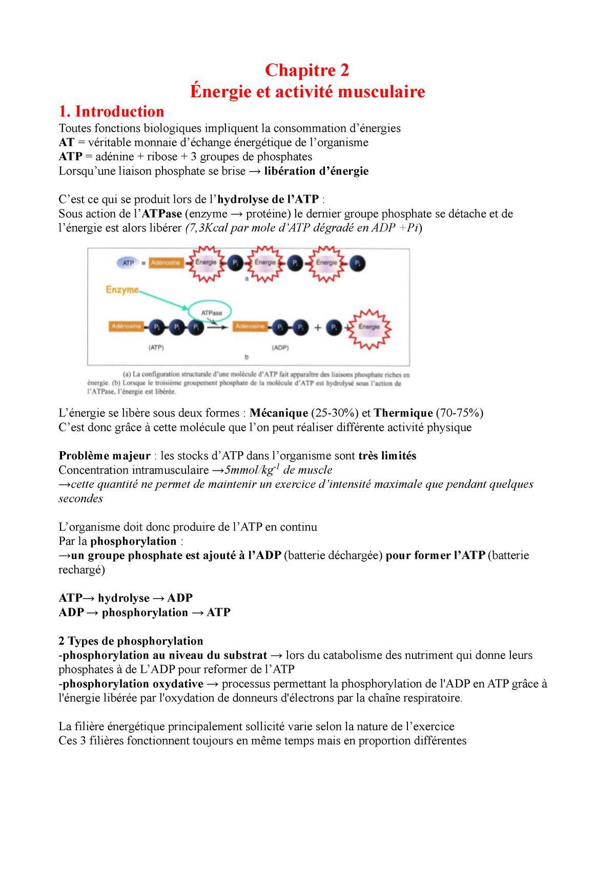 phosphorylation au niveau du substrat et phosphorylation oxydative