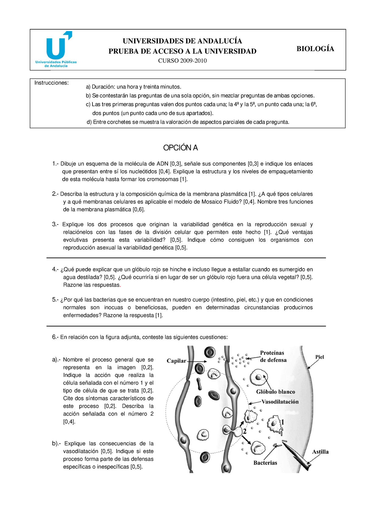 BiologöA - Examen 4 - 2010 - UNIVERSIDADES DE ANDALUCÍA PRUEBA DE ...