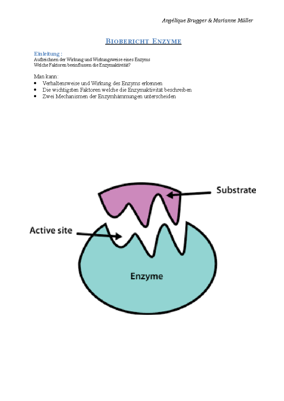 Lernmodul Zum Thema Bau Und Wirkungsweise Von Enzymen – NWHECO