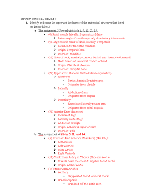 Functions of Urinary system - Studocu