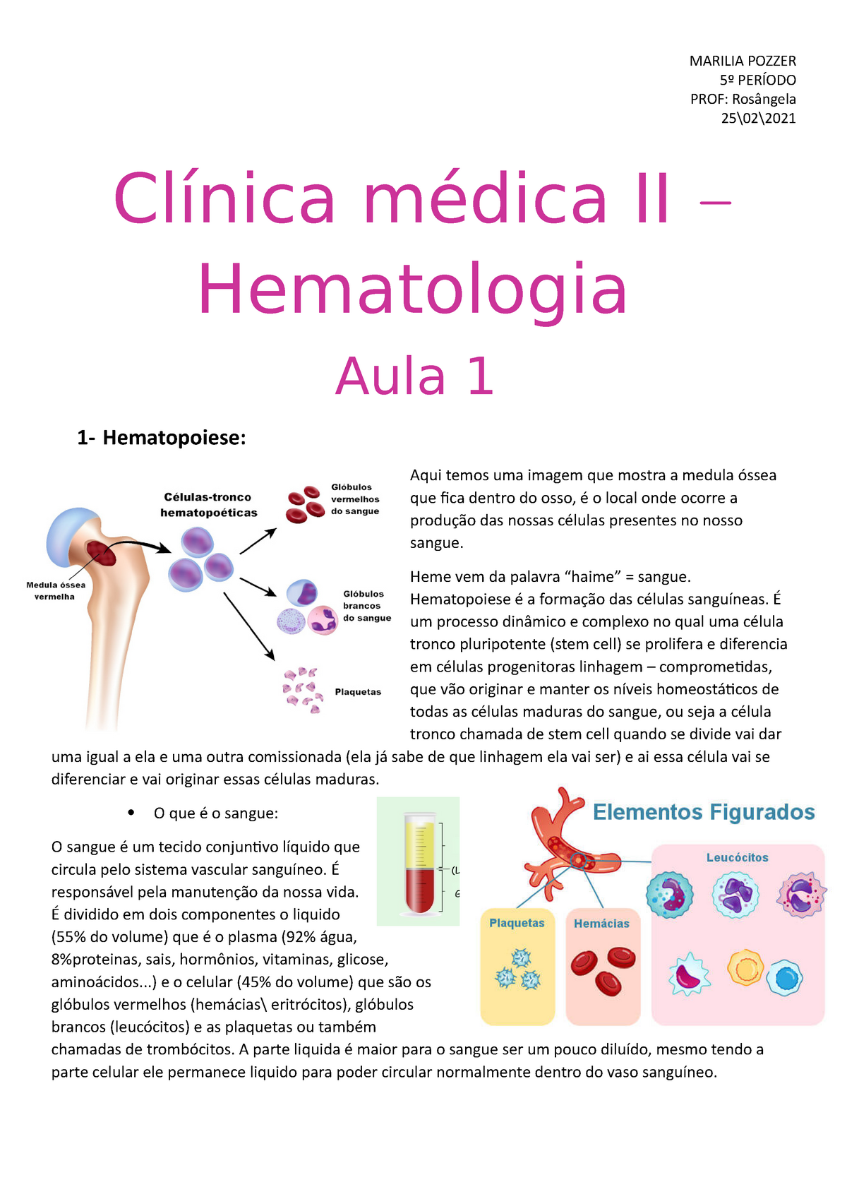 Hematopoiese MP Resumo da aula inteira de hamtopoiese e suas divisões com explicação clara