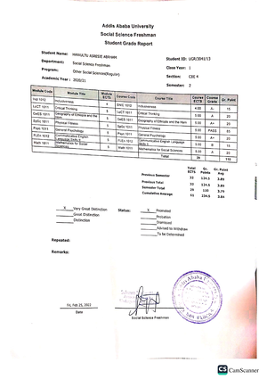 hawassa university business plan