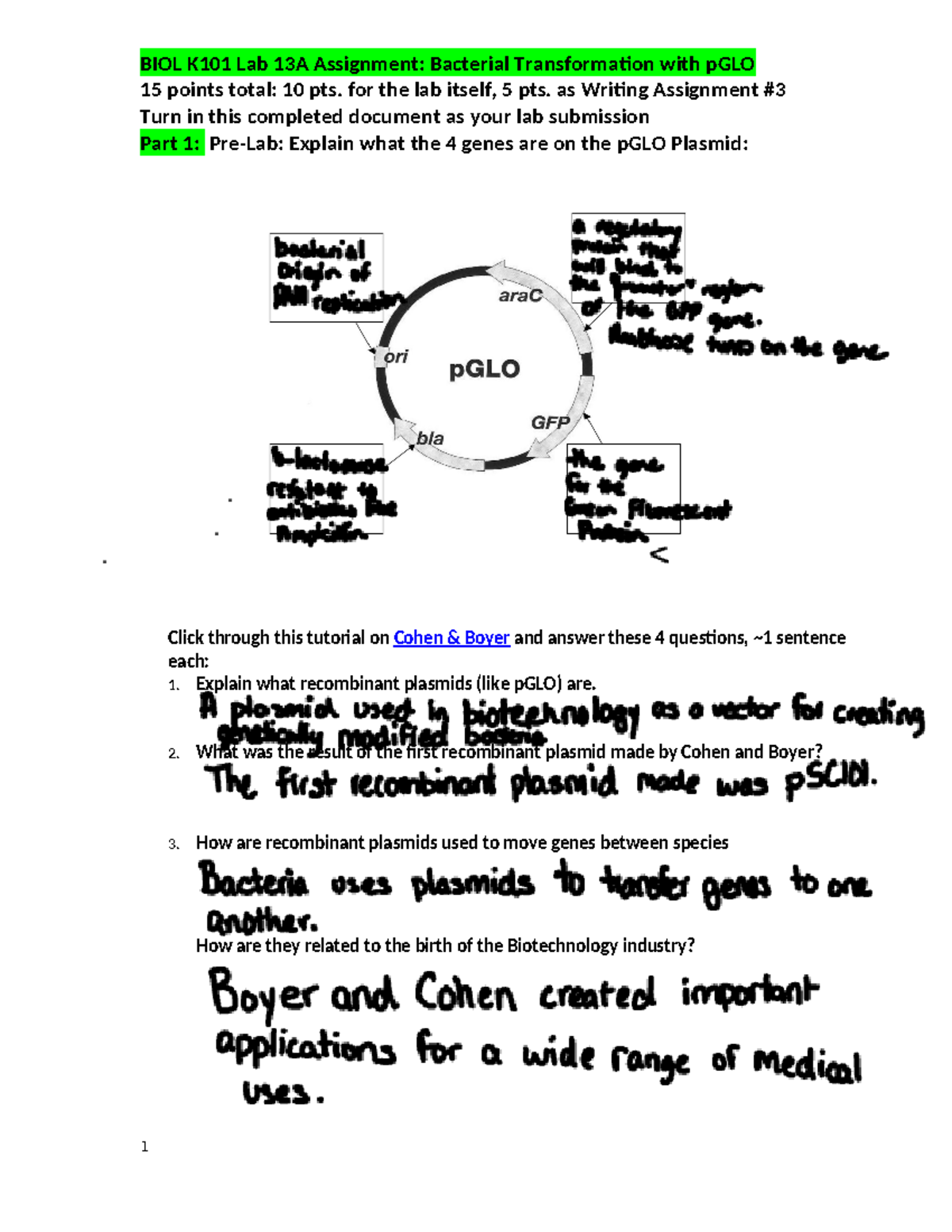 K101 Lab+13A p GLO Lab Students FA20 copy copy - BIOL K101 Lab 13A ...