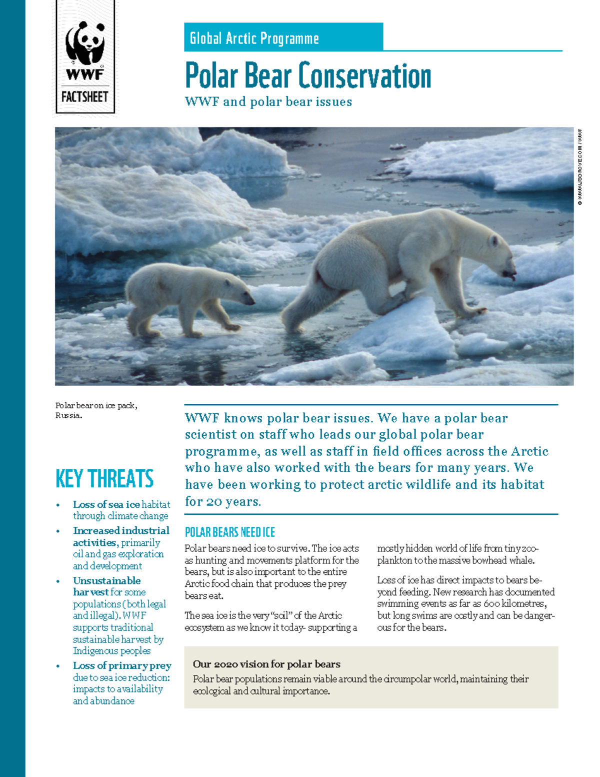 Behaviour of animals - © WWW.JSGROVE / WWF WWF knows polar bear issues ...