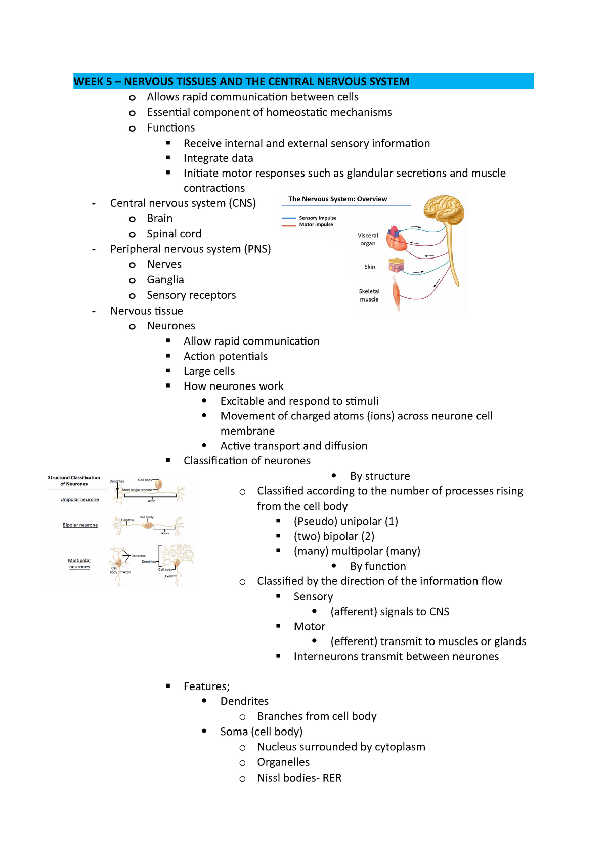 LSB WEEK Nervous Tissues AND THE Central Nervous System WEEK NERVOUS TISSUES AND