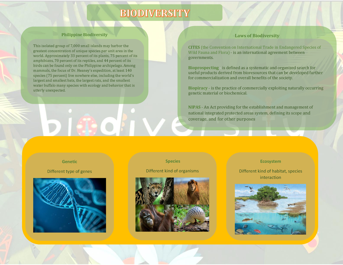 assignment about biodiversity