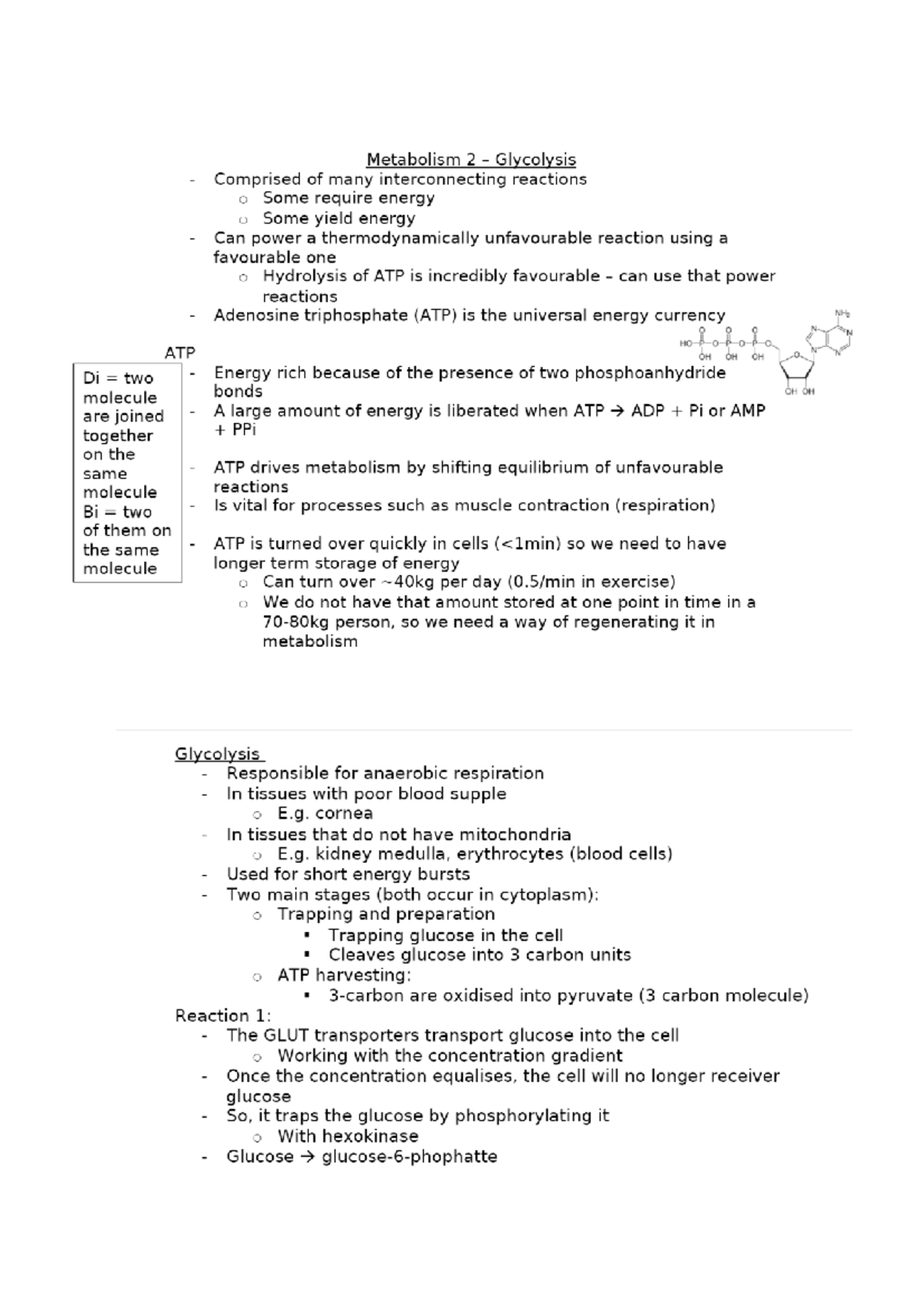 Metabolism Notesssss - BY2BC1 - Studocu