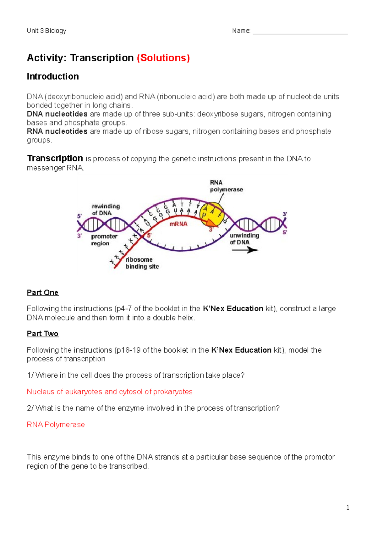 Answers Transcription AND TRANSLATION - DNA - Unit 3 Biology Name