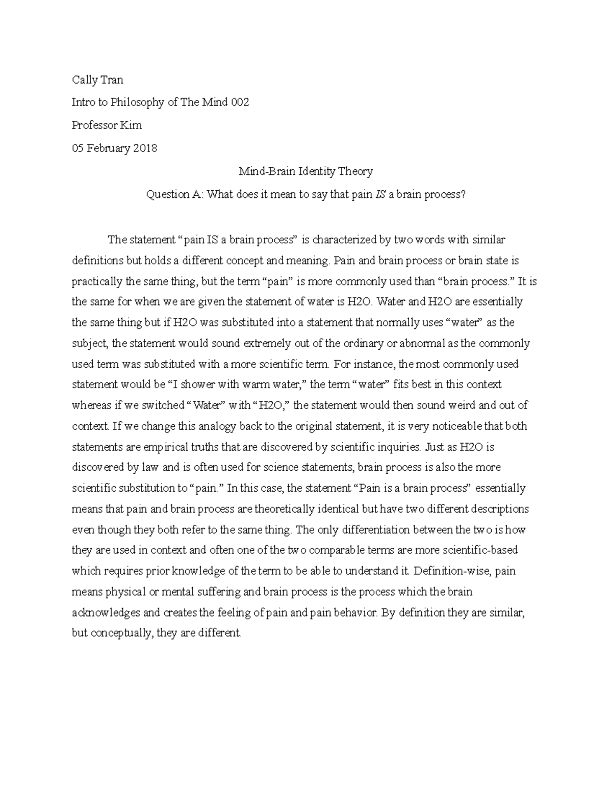 mind brain identity theory essay