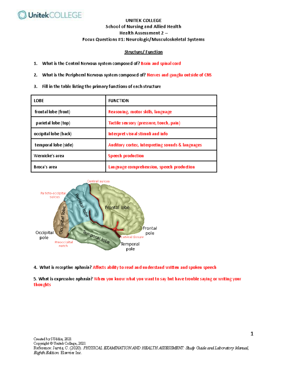 Focus Questions 1- Neuro and Musculoskeletal - UNITEK COLLEGE School of ...