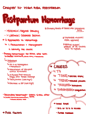 Ch.10 Notes - Chapter 10 High Risk Labor Birth Dixainhosies ...