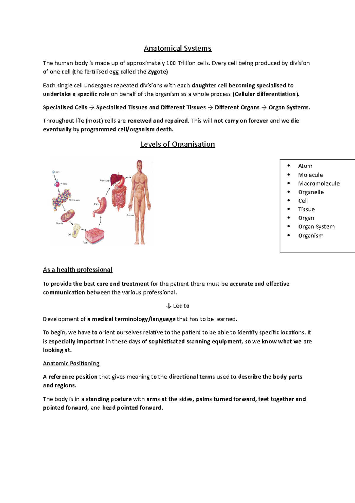 Anatomical Systems - Anatomical Systems The human body is made up of ...