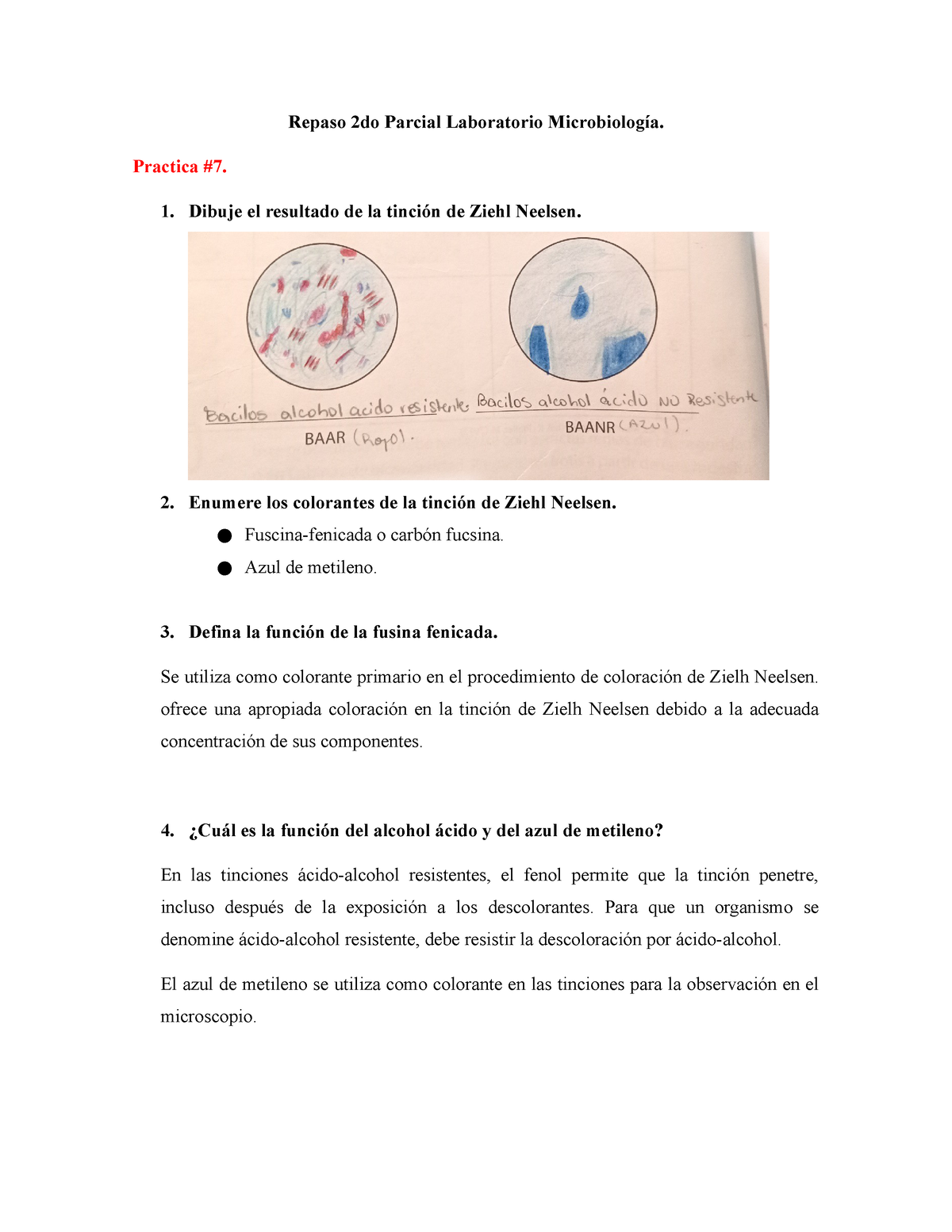 Descubre La Función Del Azul De Metileno En El Microscopio »  ✓