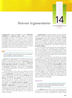 Cap Sistema Digestivo Conducto Alimentario Histolog A Studocu