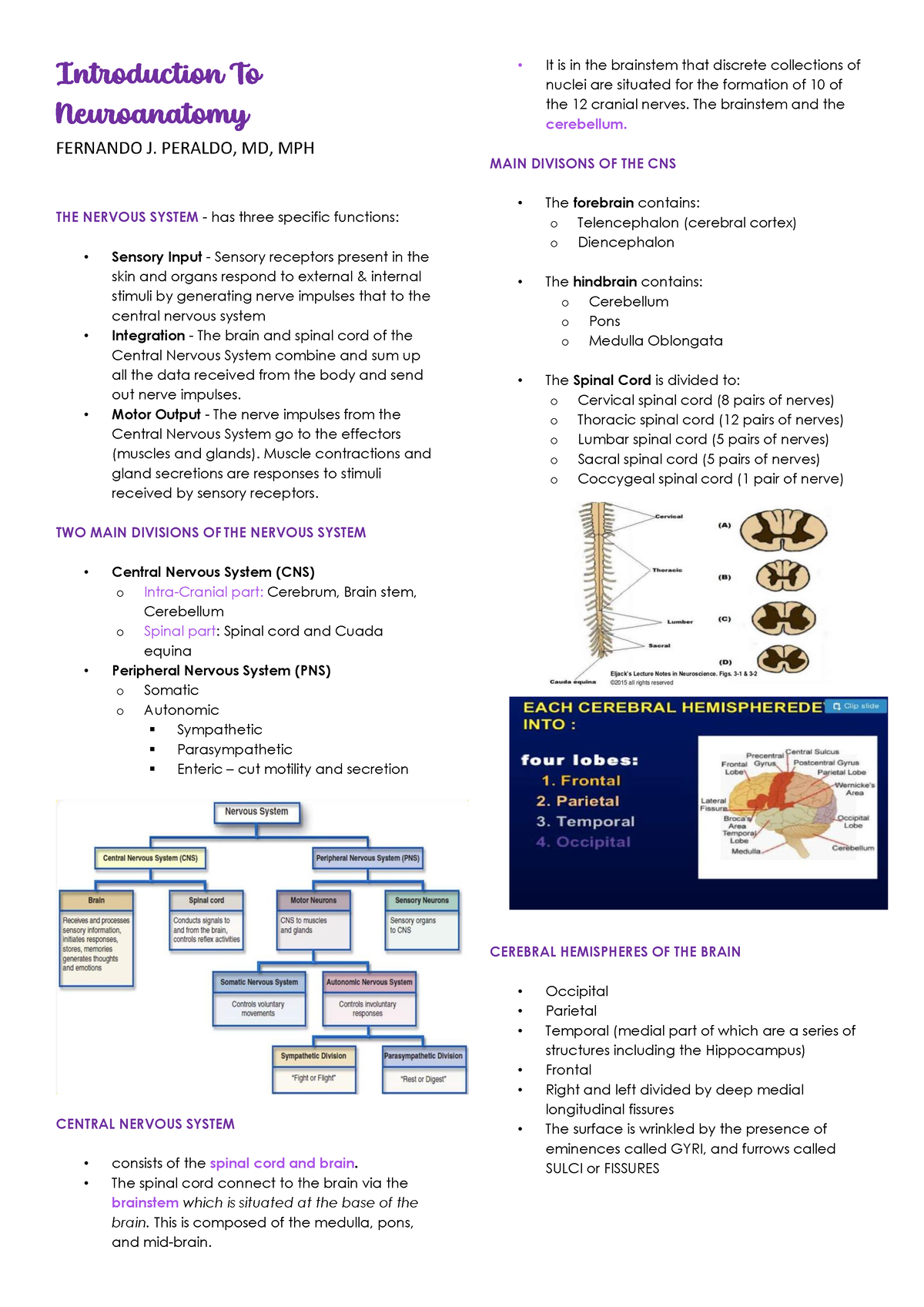 Introduction To Neuroanatomy - Introduction To Neuroanatomy FERNANDO J ...