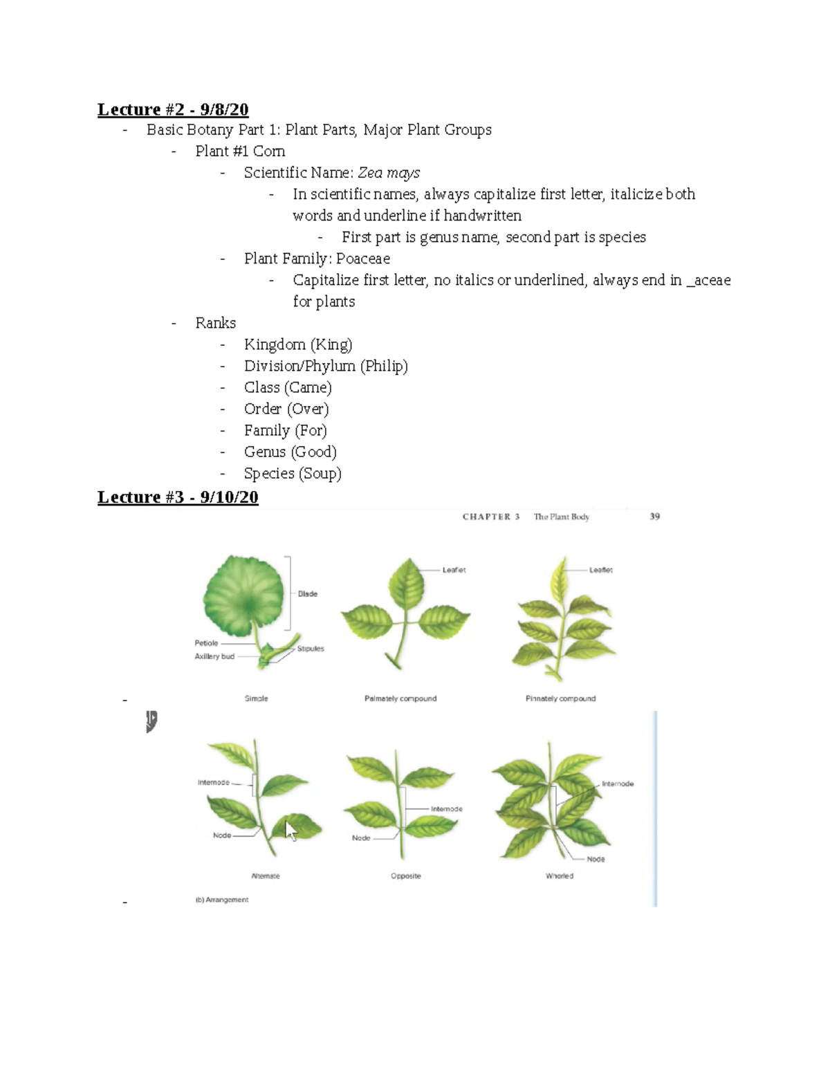 Lecture Notes (9 6-10 15) - Lecture #2 - 9/8/ Basic Botany Part 1 ...