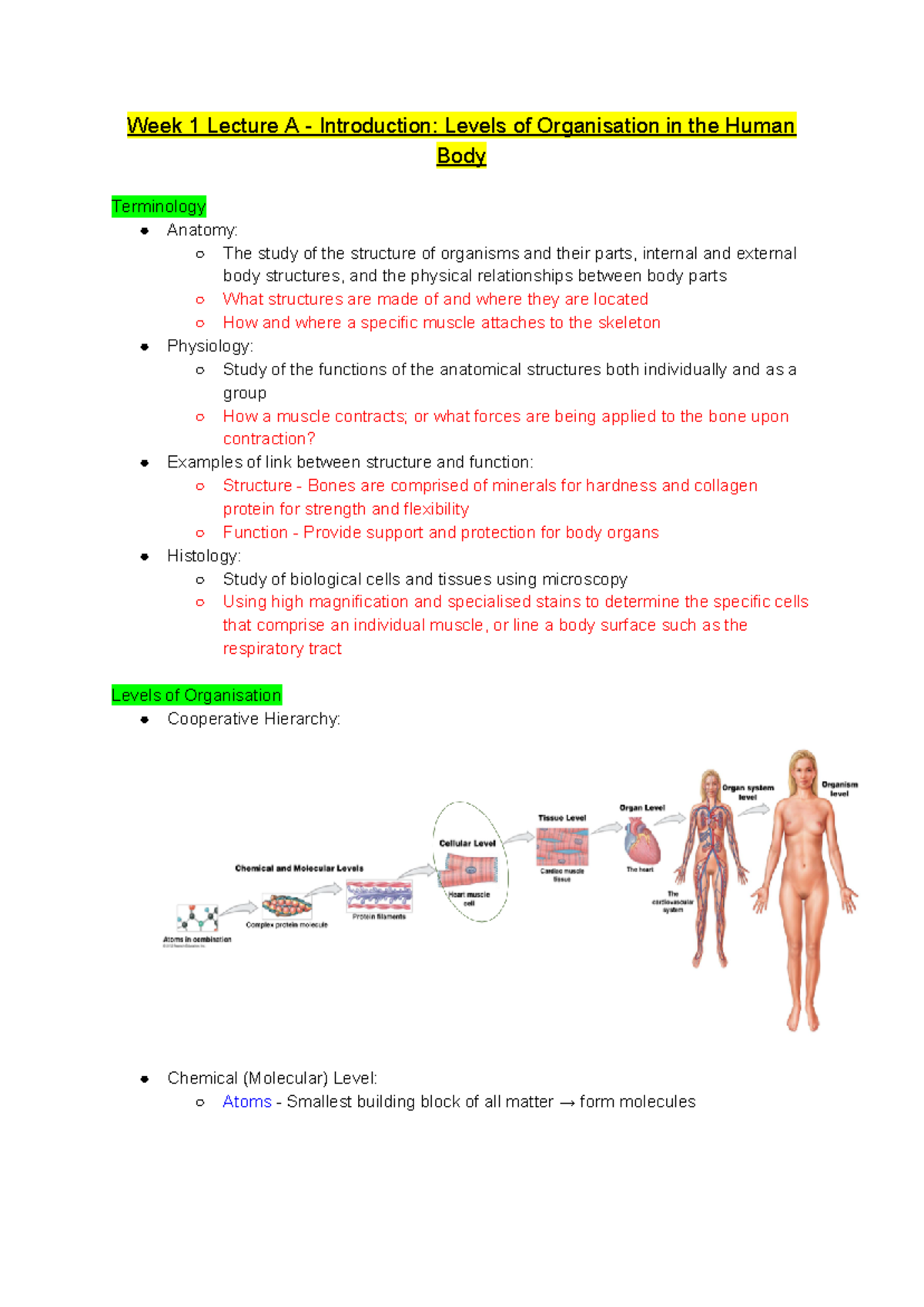 Weeks 1 - 4 Lecture Notes - Week 1 Lecture A - Introduction: Levels of ...