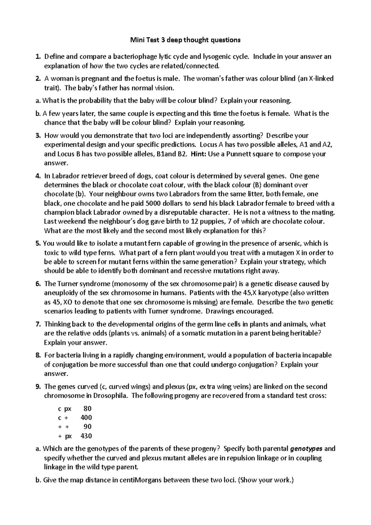 sample-practice-exam-2016-questions-mini-test-3-deep-thought