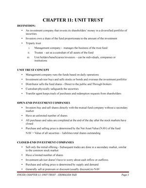 fin358 individual assignment common stock