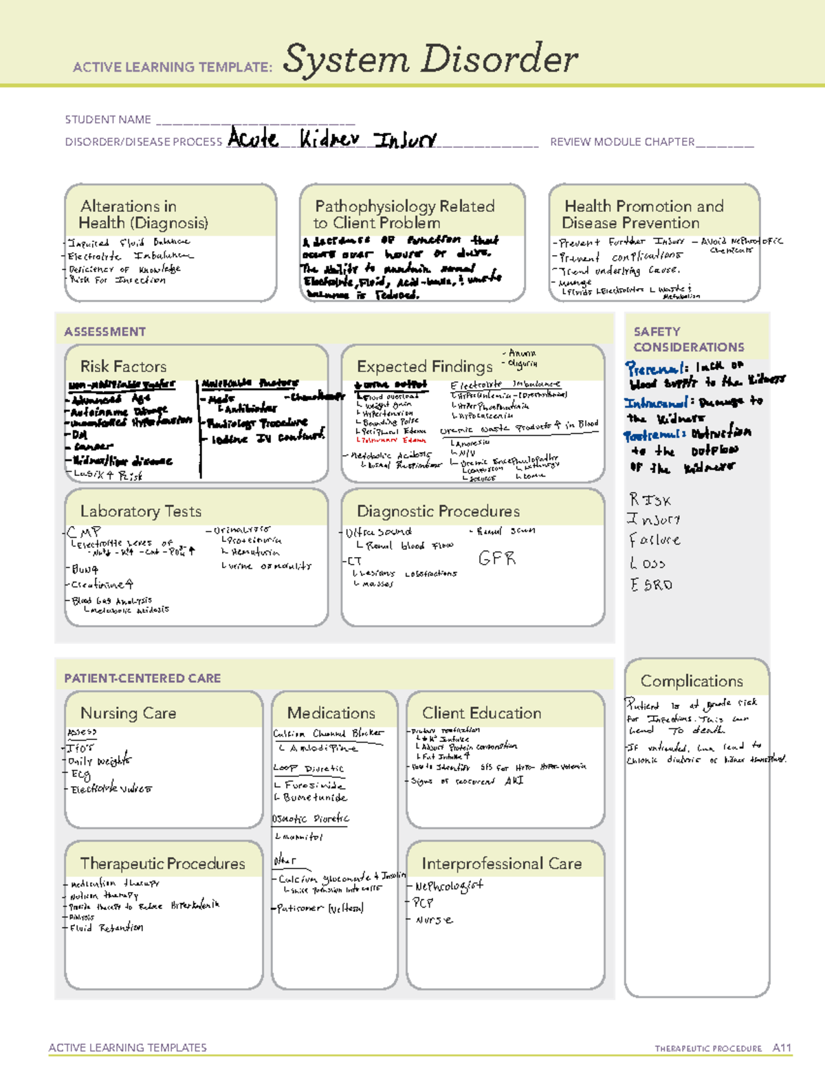 Acute kidney injury - ATI concept map - ACTIVE LEARNING TEMPLATES ...