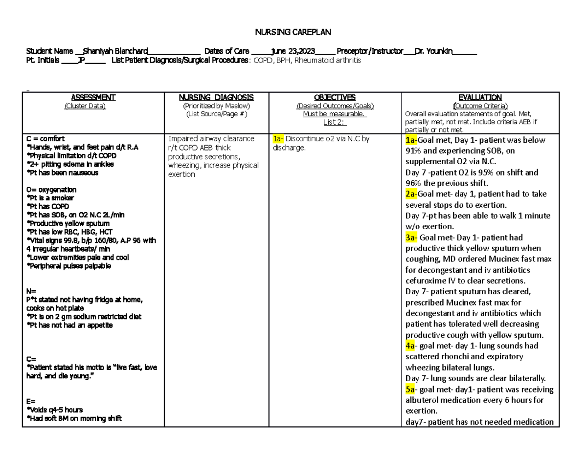 1 Nursing Careplan Care Plan NURSING CAREPLAN Student Name Shaniyah